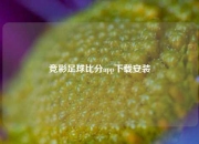 竞彩足球比分app下载安装