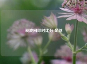 爱波网即时比分 足球