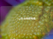 csgo比分网极电竞