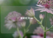 篮彩比分500