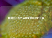 棋牌平台怎么运营策略与技巧分享