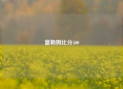 富勒姆比分500
