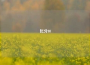 比分88
