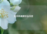 的手机棋牌平台引言