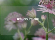 黄蜂vs热火比分预测