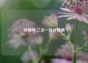 球探网 二合一比分预测