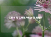 足探体育 足球比分预测 数据分析