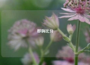 即嗨比分