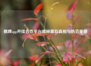 棋牌app开挂合作平台揭秘幕后真相与防范策略