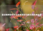 皇冠棋牌游戏平台探索竞技与娱乐的完美结合