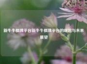 新牛牛棋牌平台新牛牛棋牌平台的崛起与未来展望