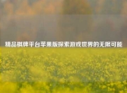 精品棋牌平台苹果版探索游戏世界的无限可能