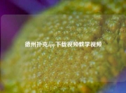 德州扑克app下载视频教学视频