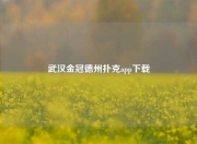 武汉金冠德州扑克app下载