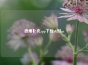 德州扑克app下载ak对aa