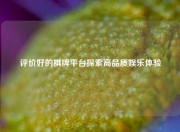 评价好的棋牌平台探索高品质娱乐体验