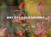 棋牌汇总平台连接玩家与竞技的桥梁