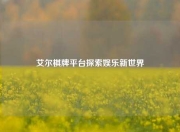 艾尔棋牌平台探索娱乐新世界