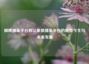 棋牌捕鱼平台转让象棋捕鱼平台的前世今生与未来发展