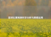 篮球比赛预测科学分析与策略运用