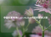 中超比赛预测manbetxManBetX与您的足球之旅