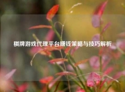 棋牌游戏代理平台赚钱策略与技巧解析
