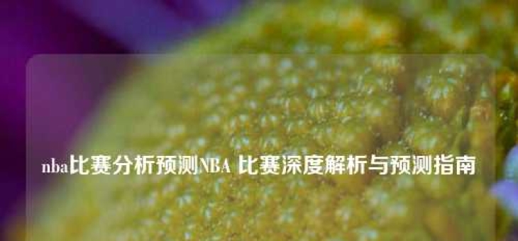 nba比赛分析预测NBA 比赛深度解析与预测指南