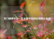 龙门棋牌平台一款全面升级的在线娱乐选择