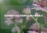 官方棋牌平台官方棋牌平台的兴起与魅力