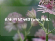 官方棋牌平台官方棋牌平台的兴起与魅力