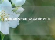 预测足球比赛的软件技术与未来的交汇点
