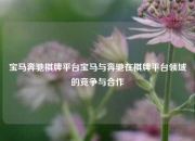 宝马奔驰棋牌平台宝马与奔驰在棋牌平台领域的竞争与合作