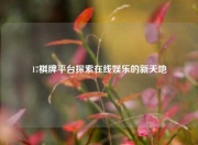 17棋牌平台探索在线娱乐的新天地