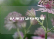 最火爆棋牌平台探索娱乐新高度