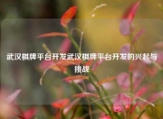 武汉棋牌平台开发武汉棋牌平台开发的兴起与挑战