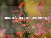 棋牌官网平台棋牌官网平台的崛起与魅力