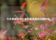 今天预测足球比赛把握胜算的关键时刻
