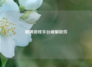 棋牌游戏平台破解软件