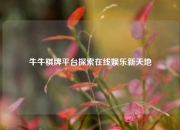 牛牛棋牌平台探索在线娱乐新天地