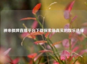 神来棋牌直播平台下载探索最真实的娱乐选择