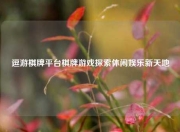 逗游棋牌平台棋牌游戏探索休闲娱乐新天地