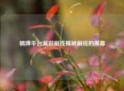 棋牌平台漏洞刷钱揭秘刷钱的黑幕