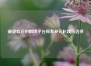 最受欢迎的棋牌平台探索多元化娱乐选择