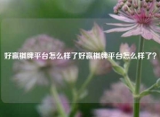 好赢棋牌平台怎么样了好赢棋牌平台怎么样了？