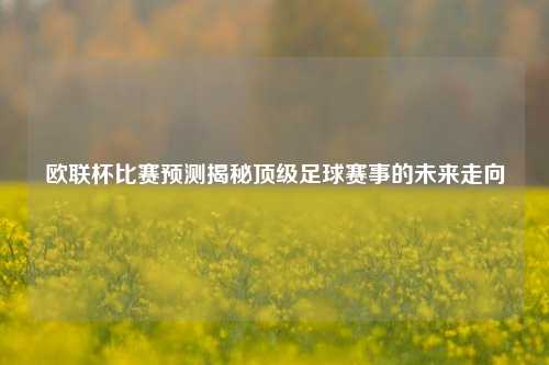 欧联杯比赛预测揭秘顶级足球赛事的未来走向