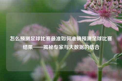 怎么预测足球比赛最准如何准确预测足球比赛结果——揭秘专家与大数据的结合