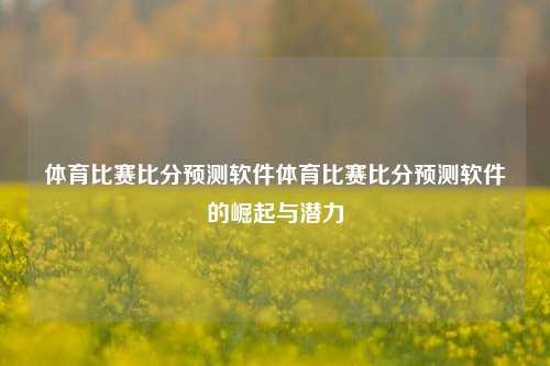 体育比赛比分预测软件体育比赛比分预测软件的崛起与潜力