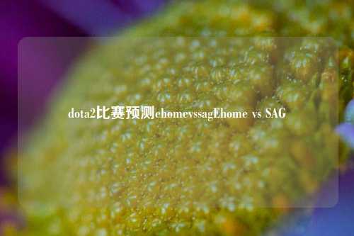 dota2比赛预测ehomevssagEhome vs SAG