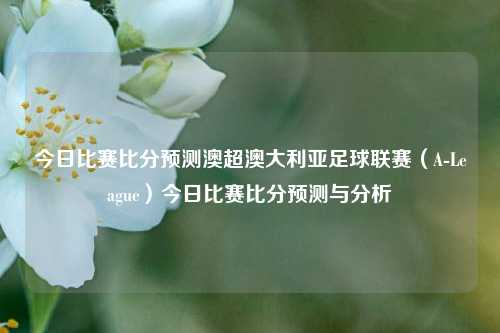今日比赛比分预测澳超澳大利亚足球联赛（A-League）今日比赛比分预测与分析