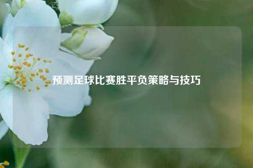 预测足球比赛胜平负策略与技巧